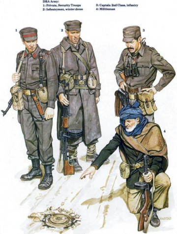 Афганская война